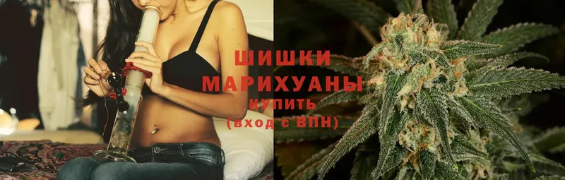 мега ТОР  купить наркотики цена  Баксан  Бошки марихуана OG Kush 